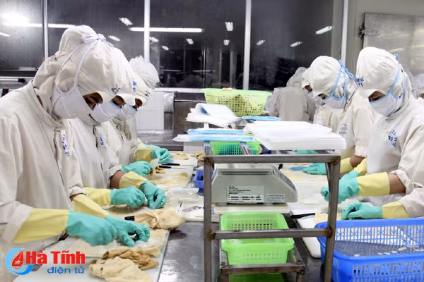 tap nap tau vao ra cang kim ngach xuat khau ha tinh tang gan 187