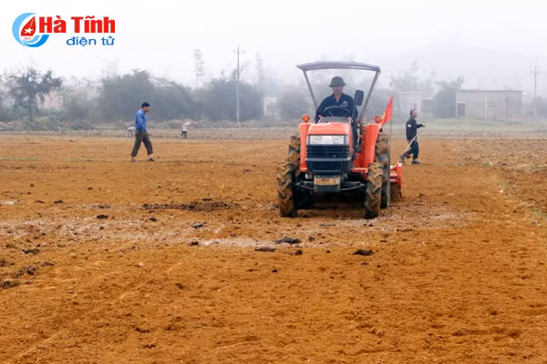 vi sao het thoi vu ha tinh moi gieo tria 50 dien tich lac xuan
