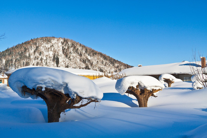 ngoi lang tuyet trang dep nhu trong co tich o cap nhi tan