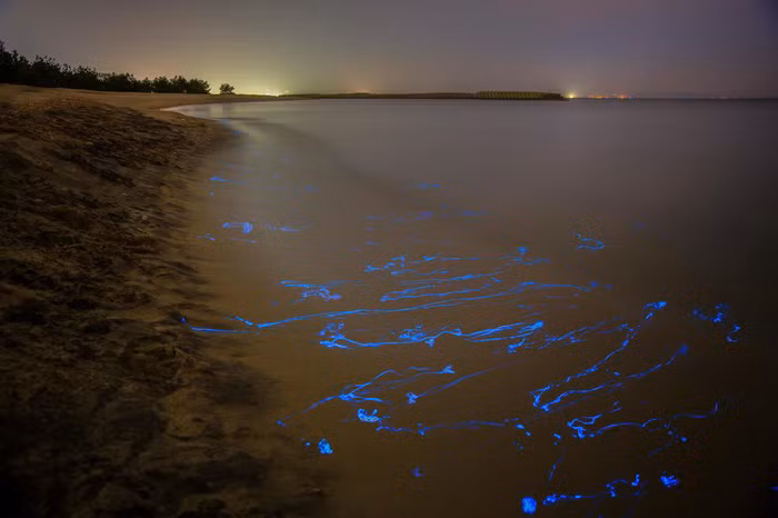 nhung quan tu nhien day sac mau