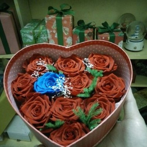 nhung mon qua tang doc dao va dat do ngay 8 3