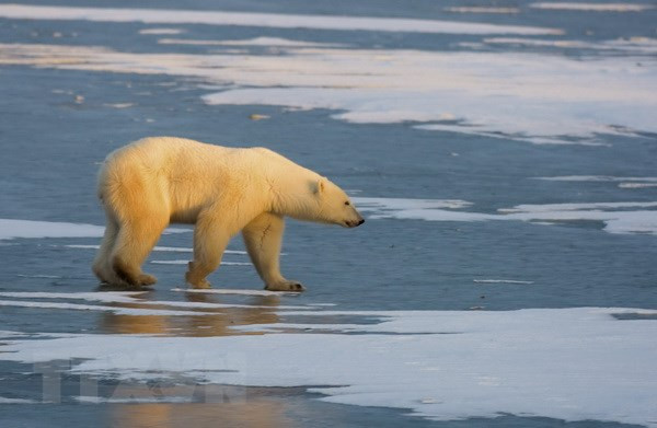 su am len cua trai dat lam dao lon thoi tiet cac chau luc