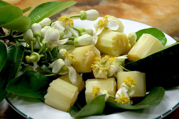 8 tac dung tuyet voi it duoc noi den cua cay mia doi voi suc khoe