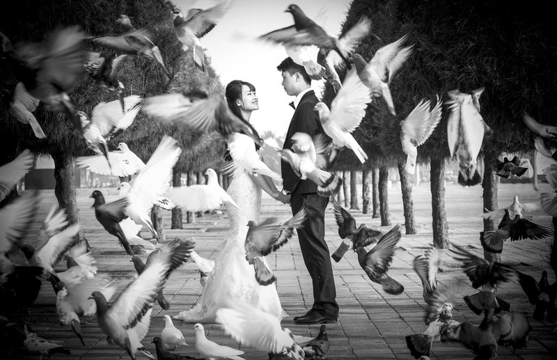 du lich qua nhung buc anh cuoi dep nhu mo