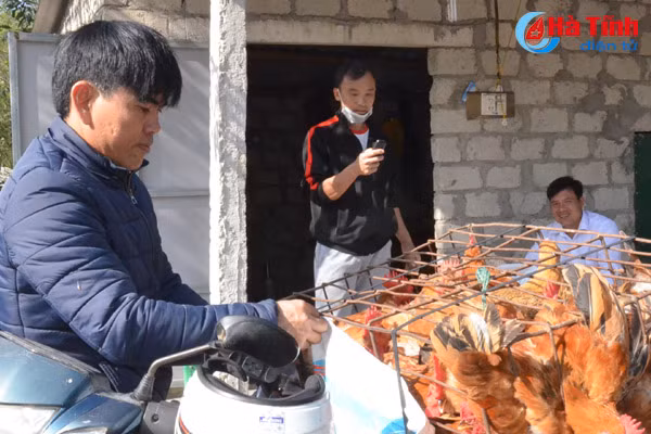 dat cat hoang ven bien ha tinh sinh tien ty