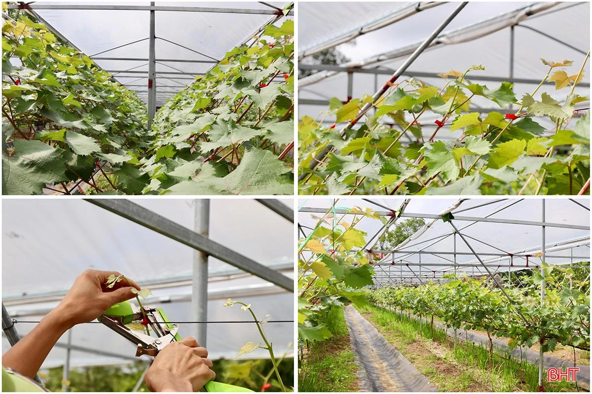 60FAEA80-F79F-46C7-AE48-FC6E40C2AAEE copy.jpg