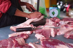 Sẽ thế nào nếu sử dụng thịt nhiễm dịch tả lợn châu Phi?