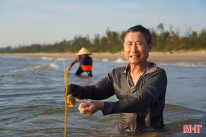 Theo chân ngư dân đi câu cúm núm