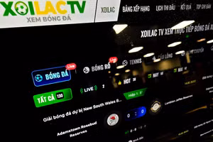 Lý do một số web lậu bị triệt phá vẫn "sống lại"