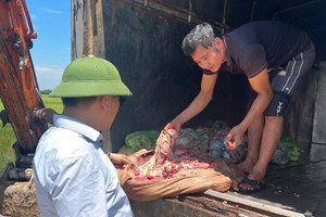 Hà Tĩnh: Phát hiện hơn 1 tấn nội tạng, da trâu bò không rõ nguồn gốc