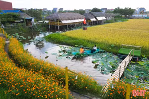 Khám phá “hồn quê” giữa lòng phố thị