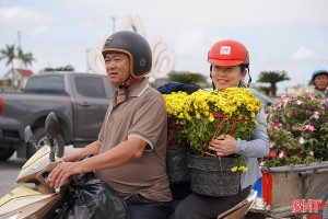 Thị trường hoa ngày 29 Tết: Tiểu thương "xả hàng", cây cảnh gần như bán hết