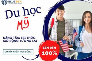 Du học Bluesea – Nơi chắp cánh ước mơ du học Mỹ uy tín và chuyên nghiệp