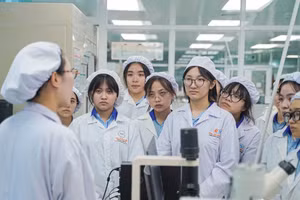 111 ngành mà sinh viên được học bổng 3,7-5,5 triệu đồng/tháng