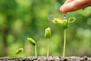 Trân trọng sự sống...