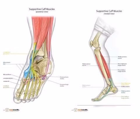 Những công nghệ khủng Mỹ nâng cấp siêu chiến binh ảnh 5 Những công nghệ khủng Mỹ nâng cấp siêu chiến binh ảnh 5