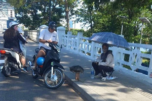 Cơ quan chuyên môn nói gì về việc bán rong rùa răng?