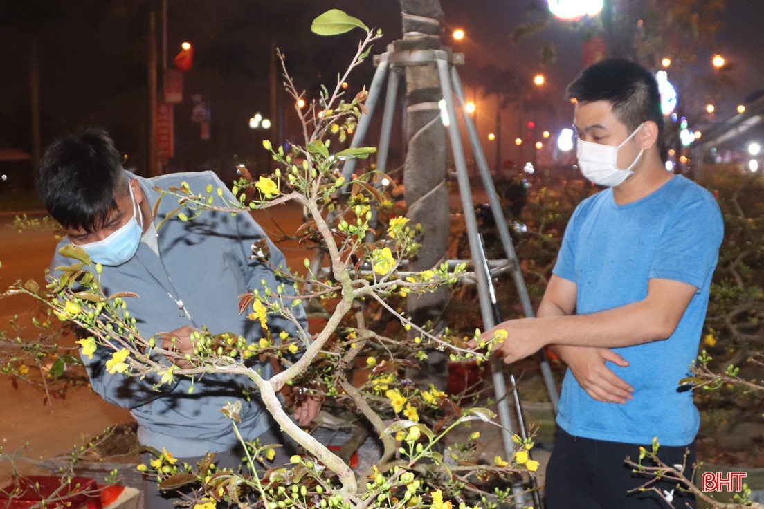 Đêm trắng ở phố hoa tết Hà Tĩnh
