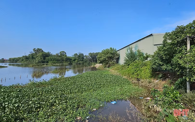 Sông Cầu Sú ở thị trấn Thạch Hà bị xâm hại