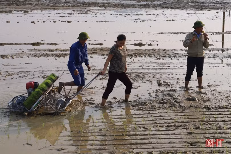 Xã đầu tiên ở Hương Sơn thực nghiệm máy cấy lúa có động cơ