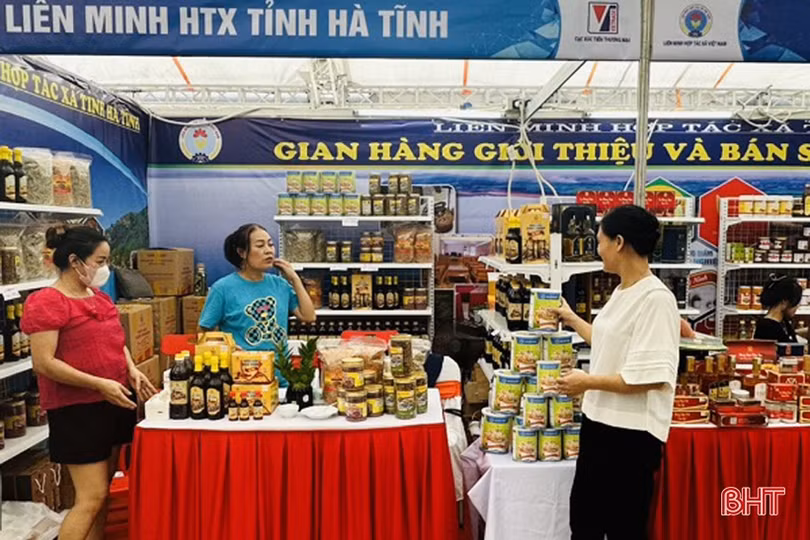 Doanh nghiệp, hợp tác xã gấp rút hoàn thành chỉ tiêu năm 2023