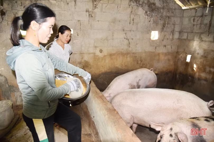 Tạo giải pháp đồng bộ giúp phụ nữ Lộc Hà thoát nghèo bền vững