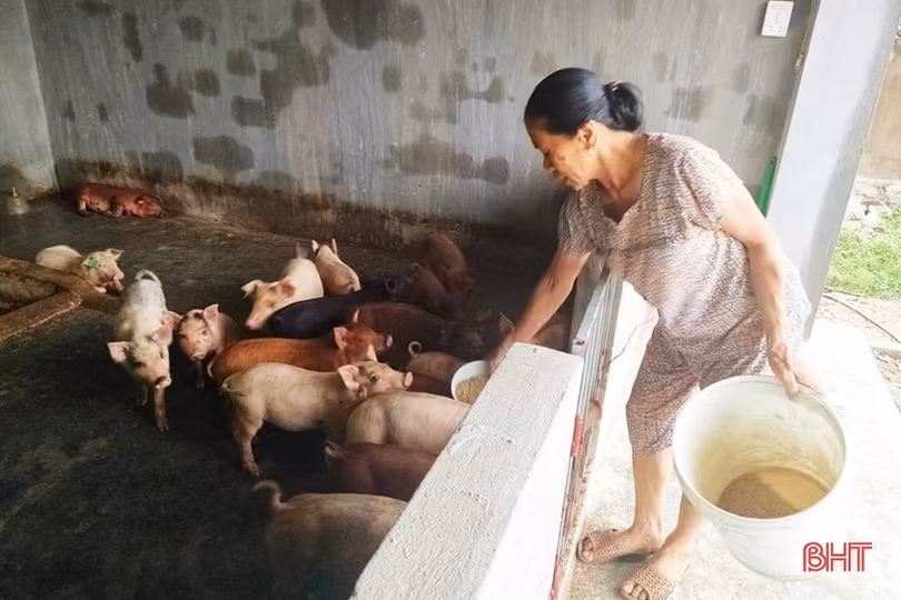 Lộc Hà chú trọng sản xuất nông nghiệp hữu cơ, sản phẩm sạch