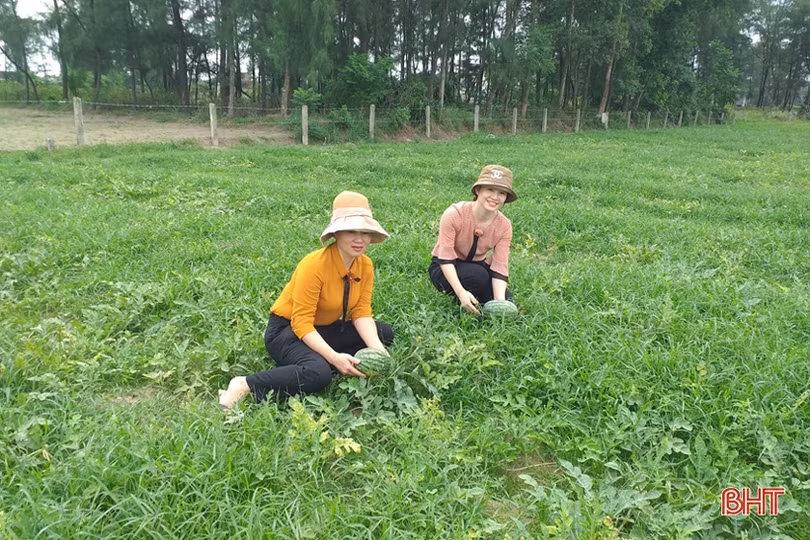 Lộc Hà chú trọng sản xuất nông nghiệp hữu cơ, sản phẩm sạch
