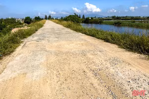 Nỗi lo tuyến đê tả Nghèn xuống cấp