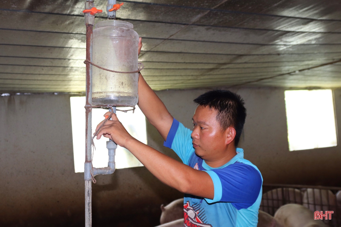 Thăm trại lợn đầu tư tiền tỷ ở huyện miền núi Vũ Quang