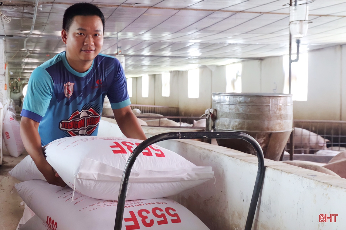 Thăm trại lợn đầu tư tiền tỷ ở huyện miền núi Vũ Quang