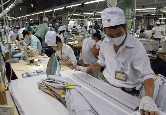 Phê chuẩn Hiệp định CPTPP: Tầm mức mới của tiến trình hội nhập ảnh 3 Phê chuẩn Hiệp định CPTPP: Tầm mức mới của tiến trình hội nhập