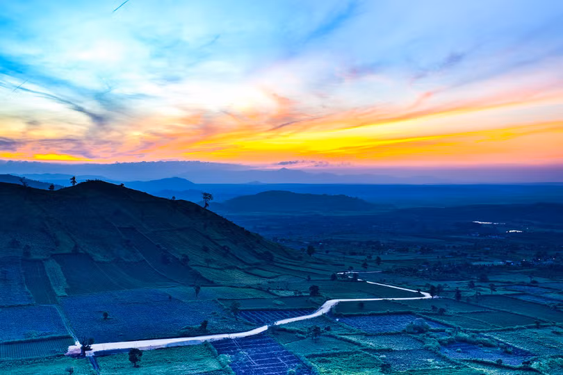 Thảm dã quỳ trên núi lửa Chư Đăng Ya hùng vĩ