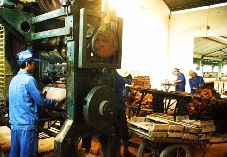 Ngói tuynel Sơn Bình ngày càng khẳng định chất lượng