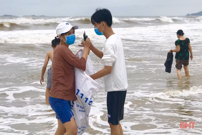 Sò mai trôi dạt vào bờ biển, người dân Cẩm Xuyên rủ nhau đi gom