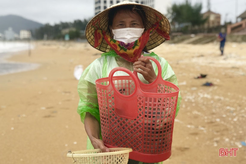 Sò mai trôi dạt vào bờ biển, người dân Cẩm Xuyên rủ nhau đi gom