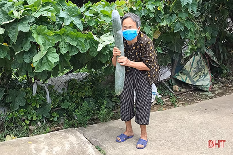 Nặng sâu nghĩa đồng bào