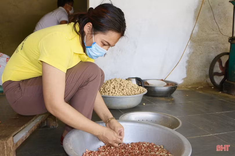 Nữ giám đốc hợp tác xã tiên phong đưa đặc sản của Vũ Quang vươn xa