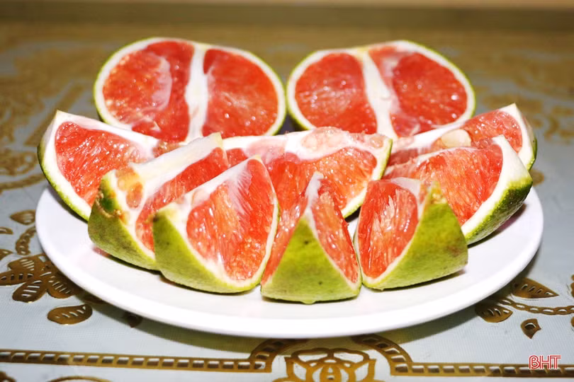 “Lạ mắt” cam ruột đỏ trồng ở Hà Tĩnh