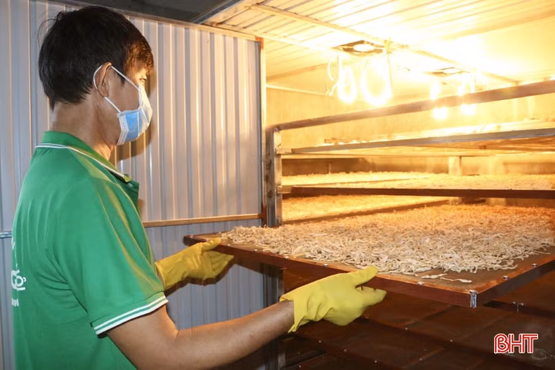 Sản phẩm củ cải sấy ở Cẩm Xuyên: sản xuất tới đâu, bán hết tới đó!