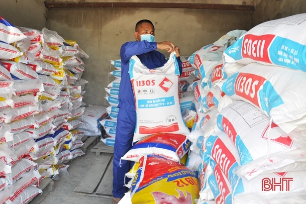 Giá lợn hơi giảm sâu, người chăn nuôi ở Hà Tĩnh thua lỗ