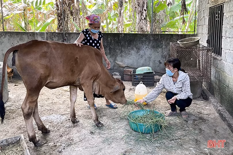 Hà Tĩnh chung tay vì người nghèo, “không để ai bị bỏ lại phía sau”