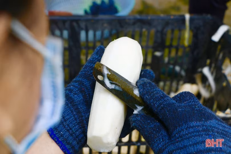 Sản phẩm củ cải sấy ở Cẩm Xuyên: sản xuất tới đâu, bán hết tới đó!