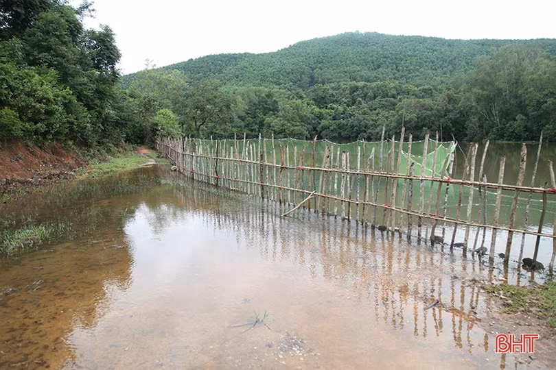 Hà Tĩnh tập trung ứng phó với bão số 8, đảm bảo an toàn tuyệt đối cho Nhân dân