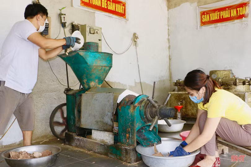 Nữ giám đốc hợp tác xã tiên phong đưa đặc sản của Vũ Quang vươn xa