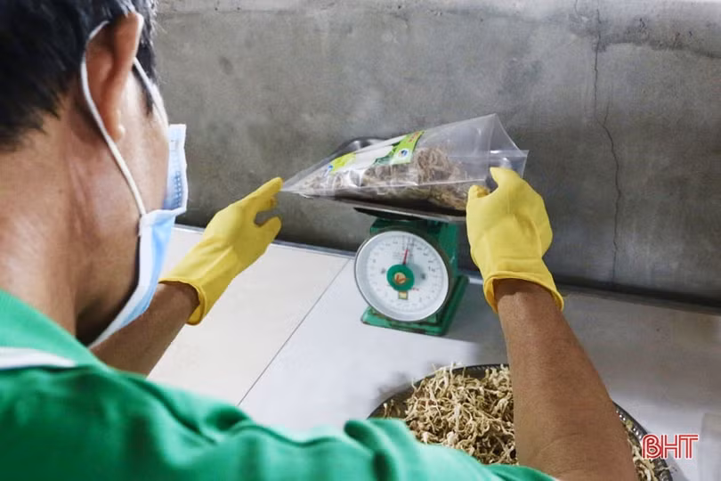 Sản phẩm củ cải sấy ở Cẩm Xuyên: sản xuất tới đâu, bán hết tới đó!