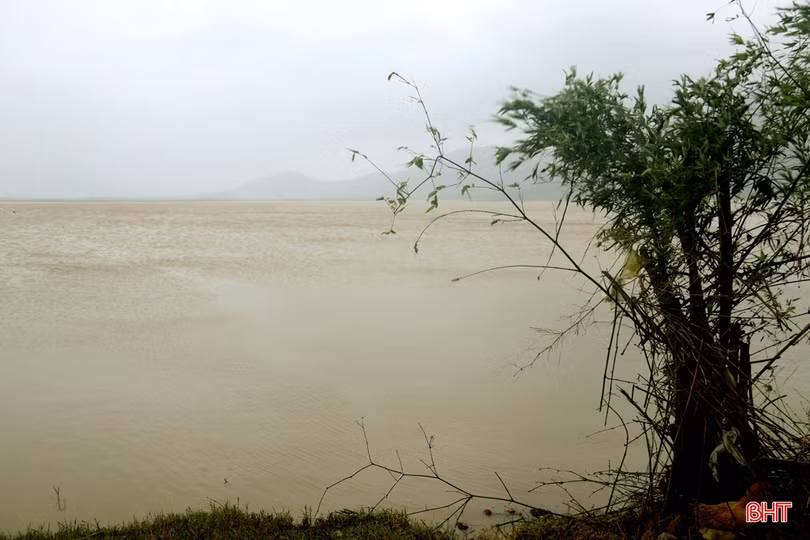 TX Kỳ Anh triển khai phương án sơ tán 153 hộ dân tại vùng trũng thấp