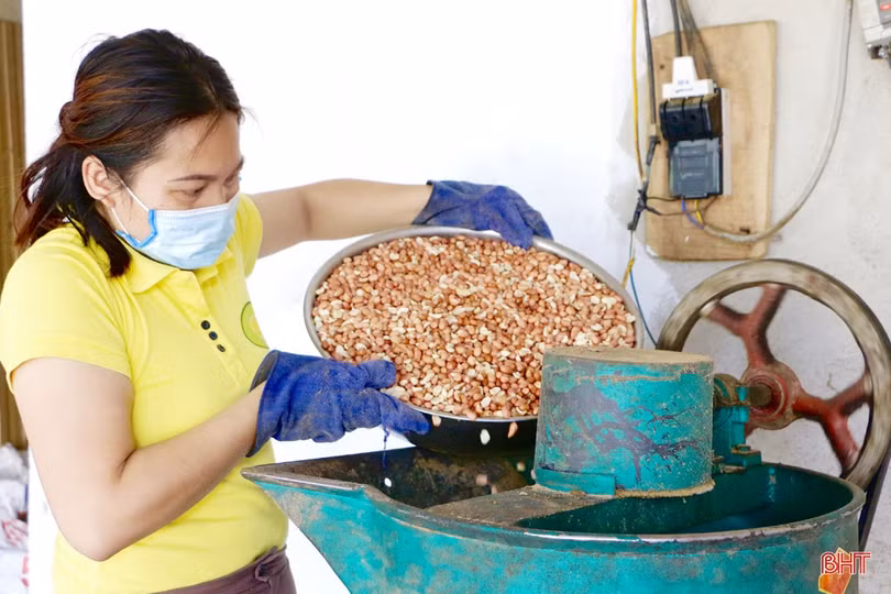 Nữ giám đốc hợp tác xã tiên phong đưa đặc sản của Vũ Quang vươn xa