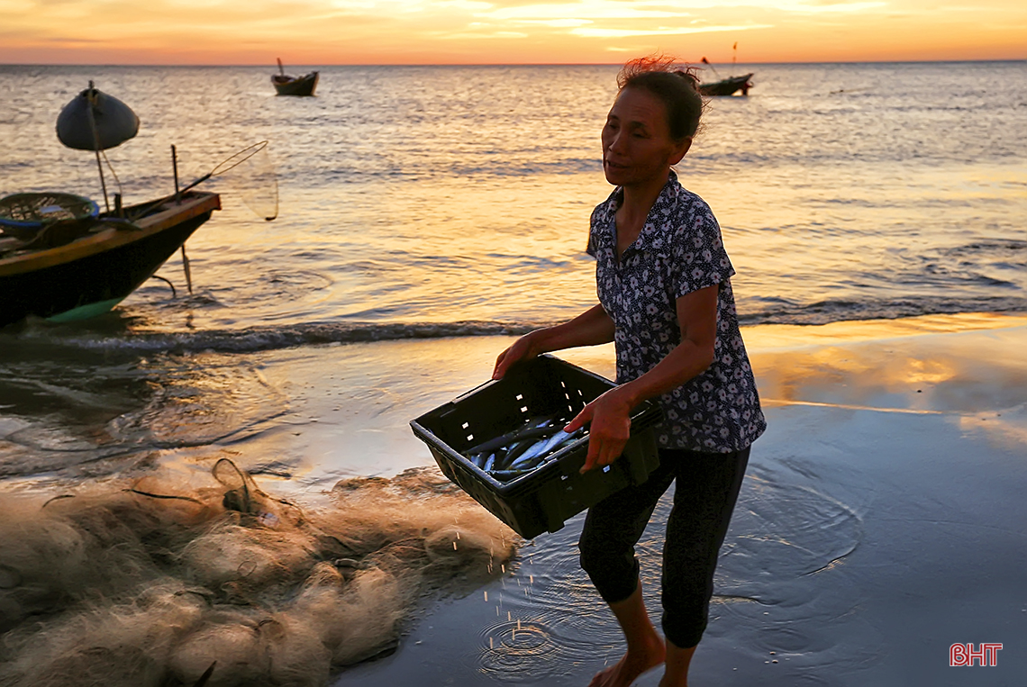 Sướng như về biển Kỳ Ninh đón bình minh, mua mực nháy