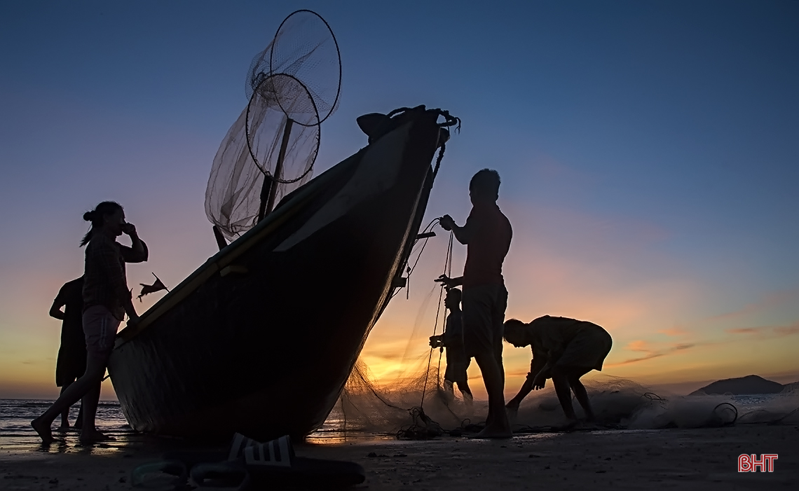 Sướng như về biển Kỳ Ninh đón bình minh, mua mực nháy